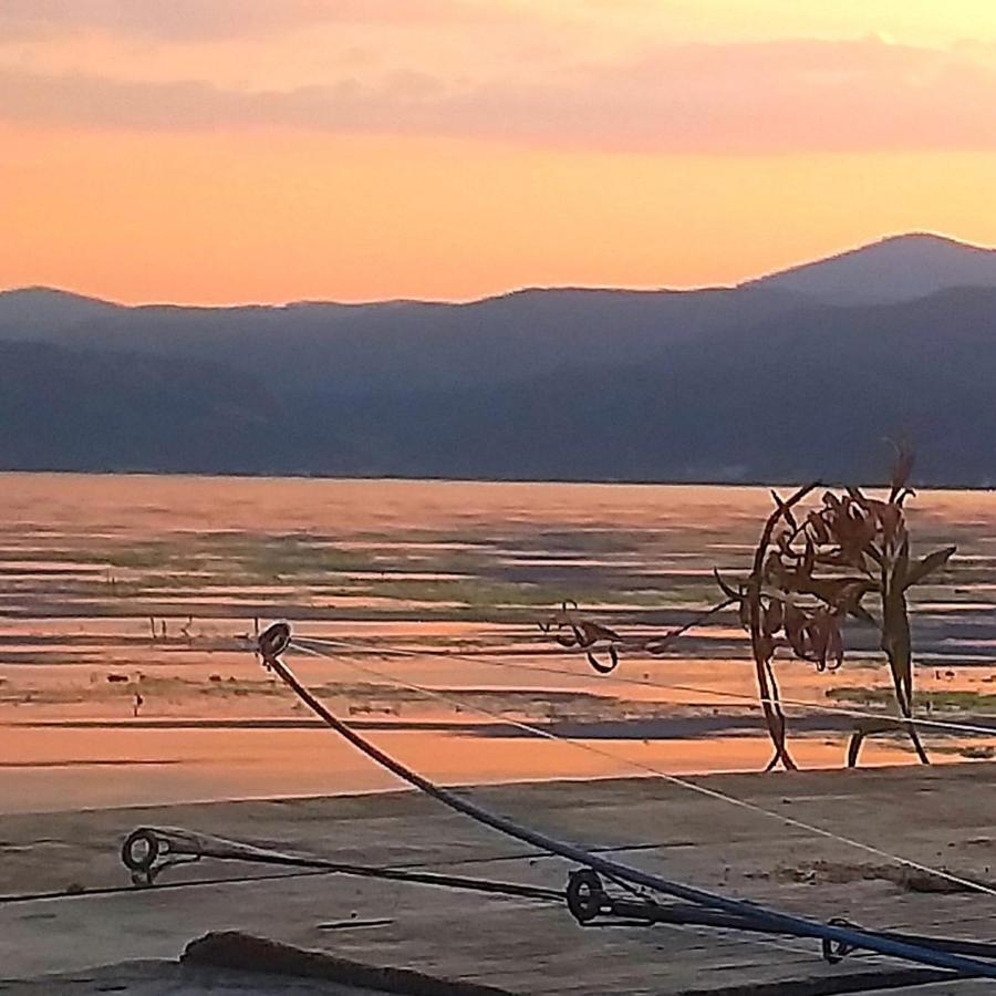 فندق Mai Danube Ieşelniţa المظهر الخارجي الصورة